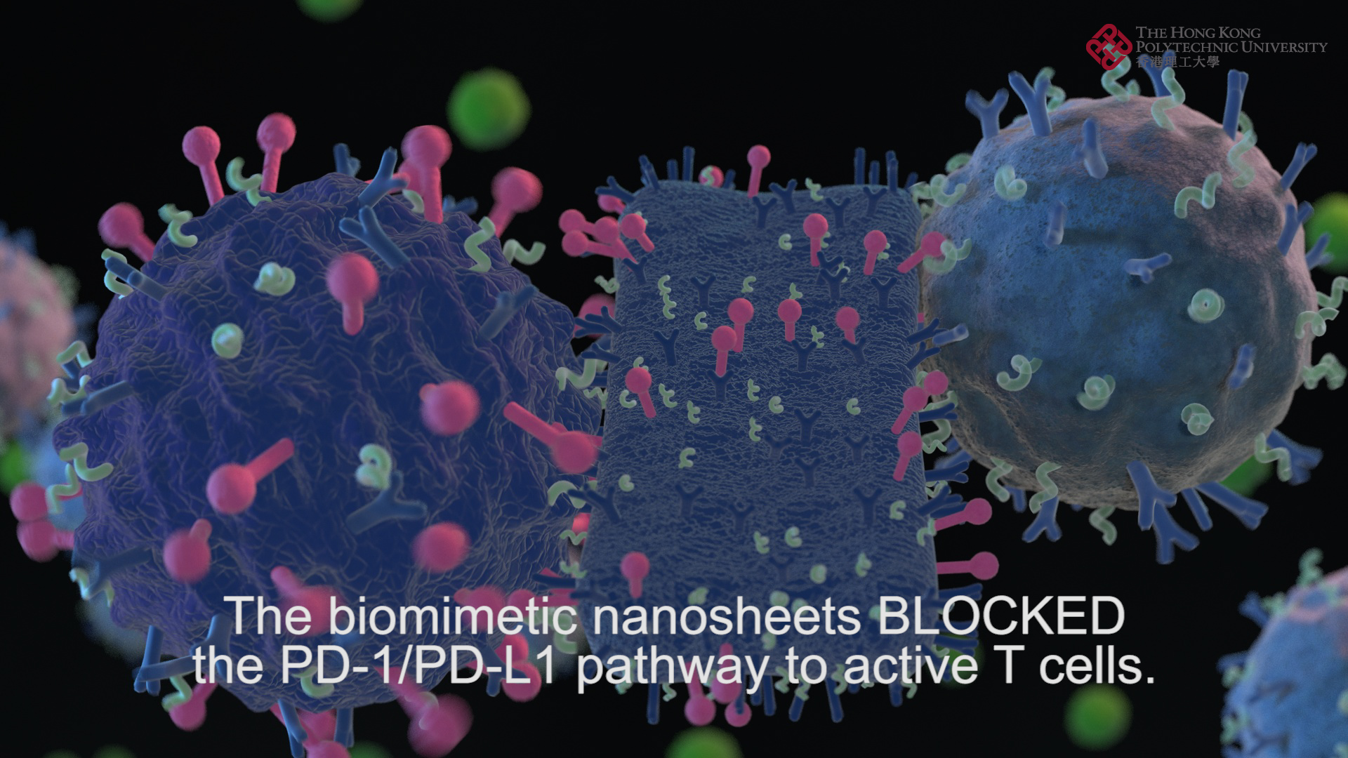 Biomimetic Nanosheets for Cancer Photothermal and Enhanced Immune Therapy